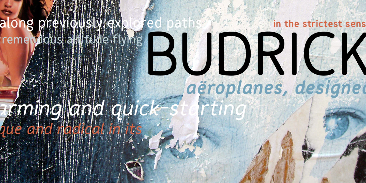 Budrick - Image 2